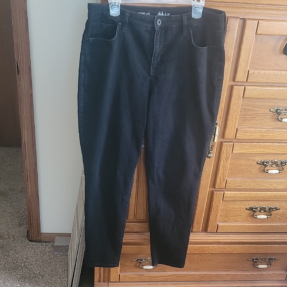 Style & Co. Denim - Style & Co. Women's Skinny Jeans in Black - curvy skinny leg